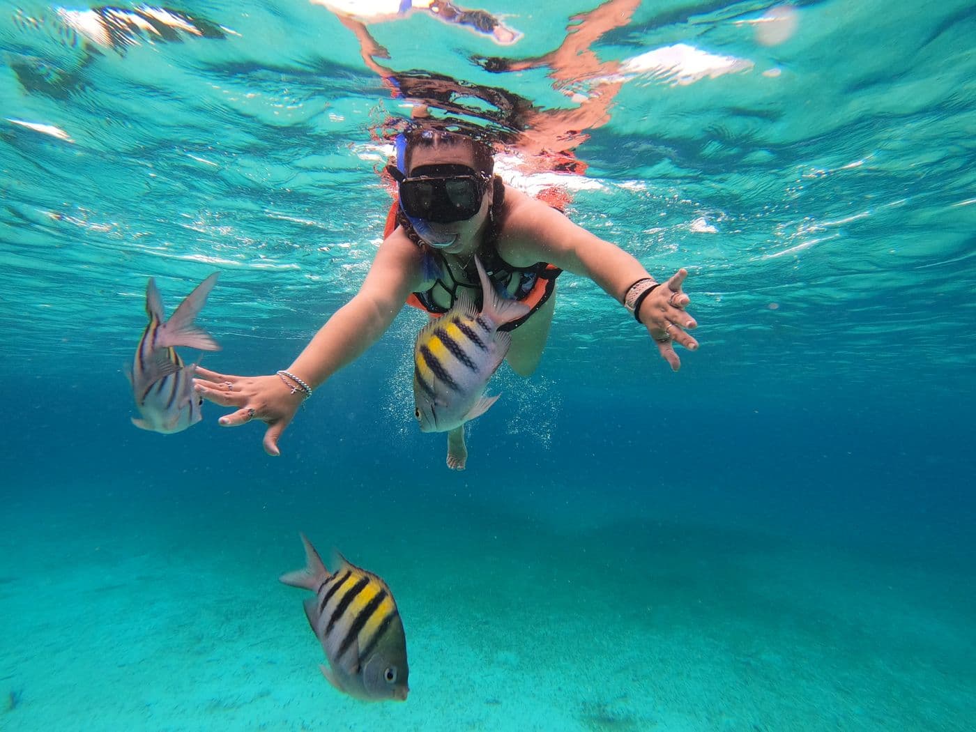 Snorkeling au lagon de l'Hermitage : spots et matériel à louer